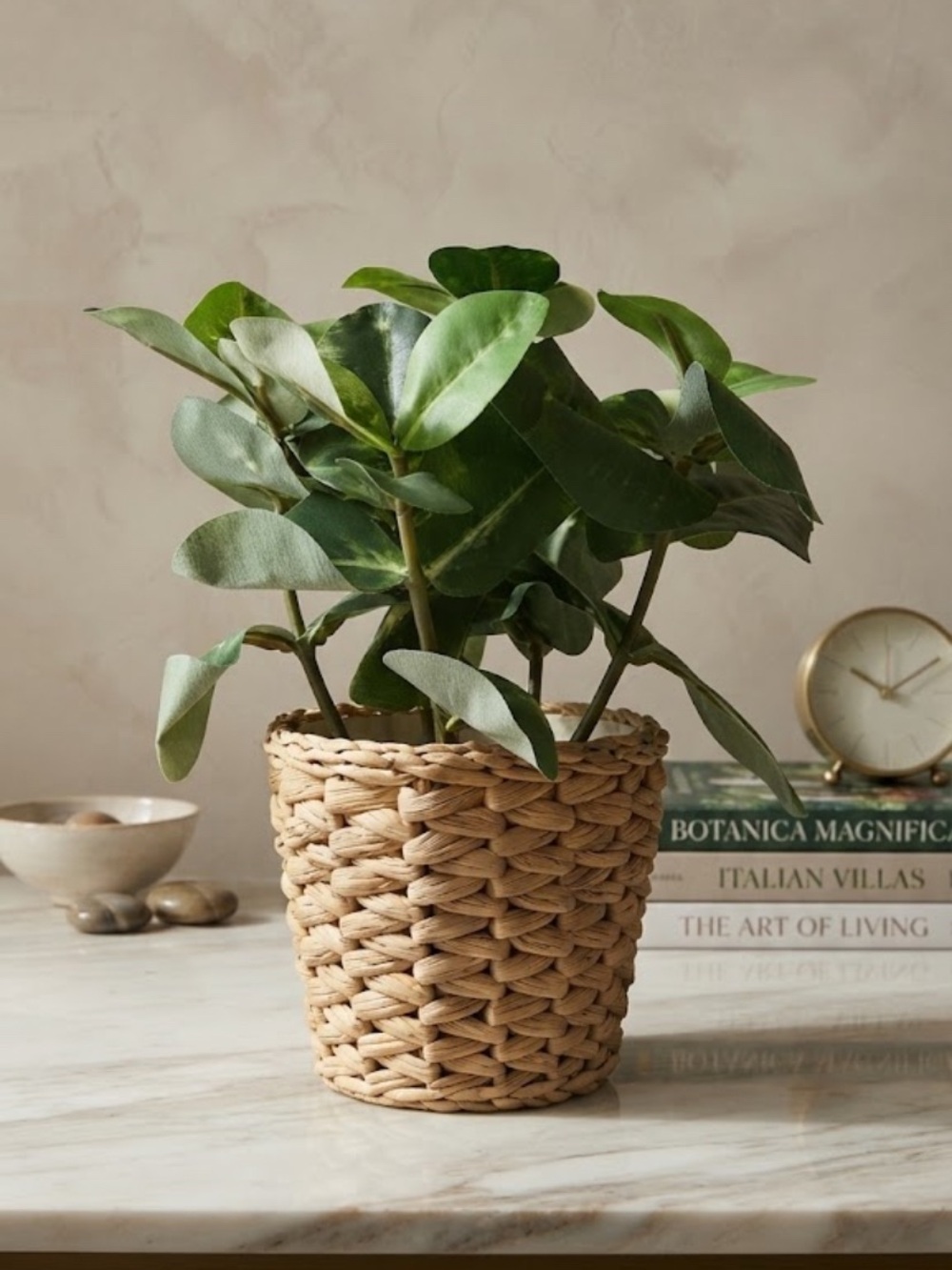 IKEA® FRIDFULL Plant Pot 2 Pieces Wicker Seagrass 9" Natural Holder
